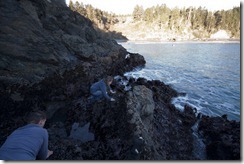CA - Mussel Hunting