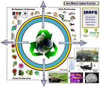 closed loop aquaculture using aquaponics