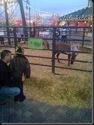IMG_20111129_171601