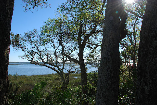 Vaill Point Park