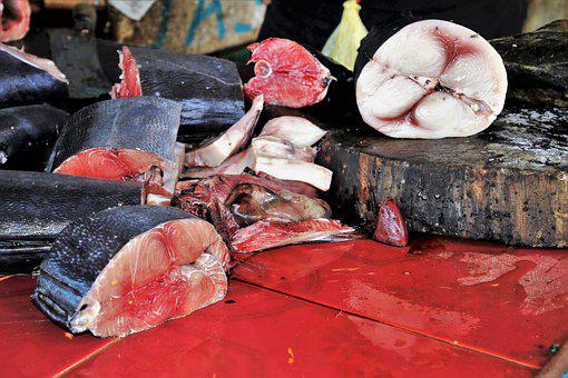 Cari Informasi Supplier Jual Daging Bebek Palembang, Sumatera Selatan