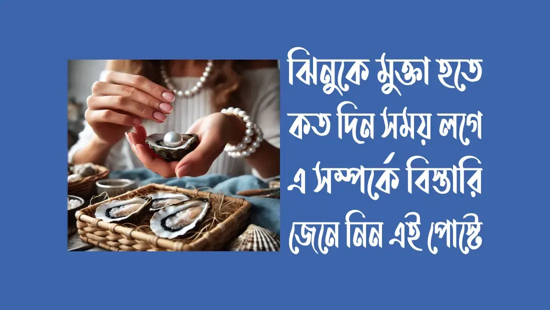 আসল-মুক্তা-চেনার-উপায়