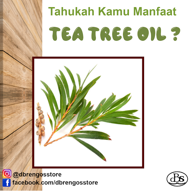 Manfaat Tea Tree Oil