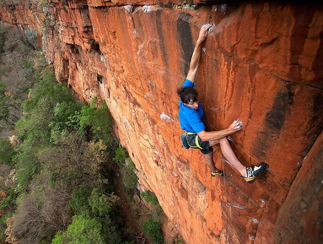 FREE SOLO フリー・ソロ