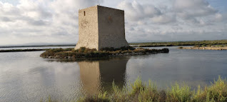 Torre del Tamarit, Torre de la Albufera o Torre de las Salinas.