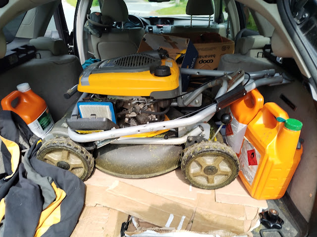 Stihl lankaleikkurilla omakotitontin niittypiha nurin, ei ollut asiaa ruohonleikkurilla 11.6.2025 Talonmiespalvelu@gmail.com yhteydenottonne kuva3