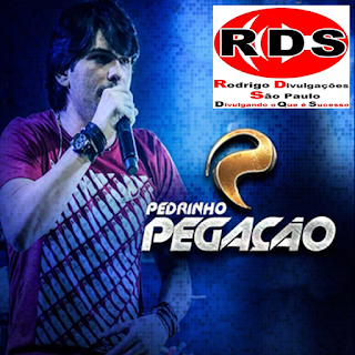 Download CD Pedrinho Pegação – Promocional de Setembro – 2015  Grátis Cd Pedrinho Pegação – Promocional de Setembro – 2015  Completo Baixar Pedrinho Pegação – Promocional de Setembro – 2015