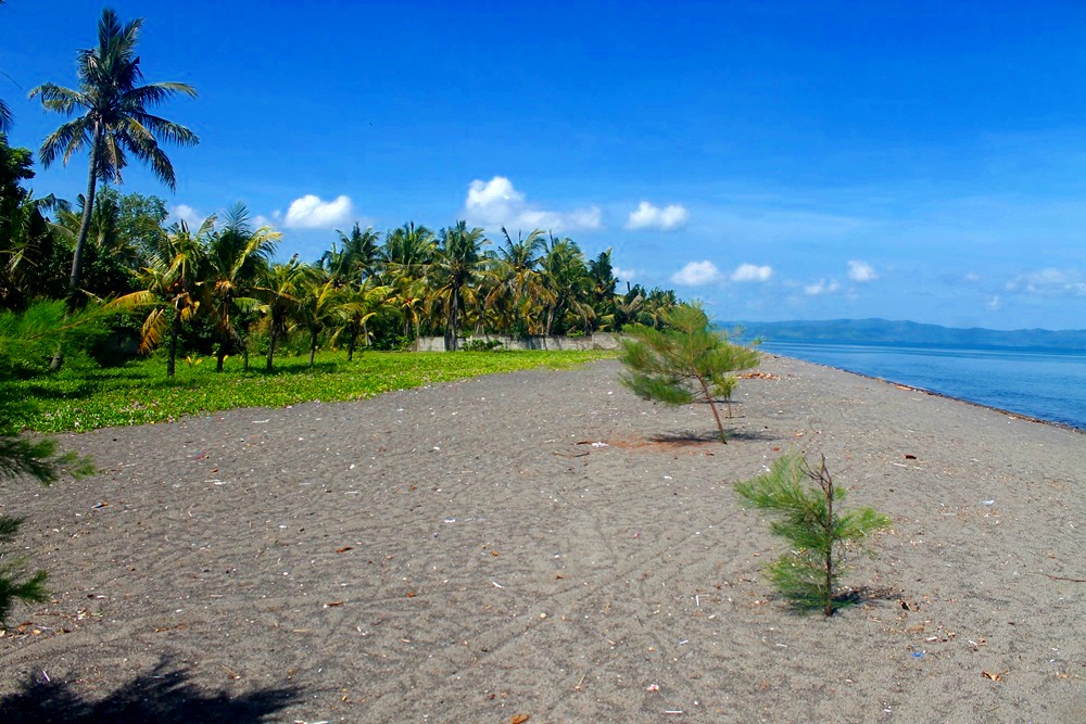  Dijual Tanah Pinggir Pantai  Kuranji Lombok Barat Sasak 