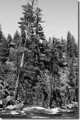 IMG_0072_1