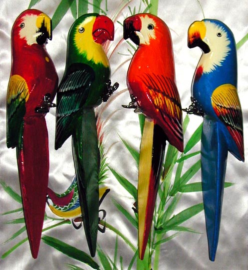 Birds And Parrots