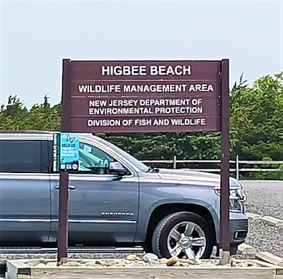Higbee Beach Wildlife Management Area at Sunset Beach in Cape May, New Jersey