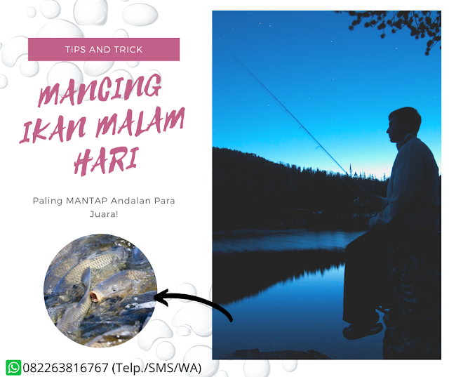 https://pusatessenterbaik.blogspot.com/2019/12/cara-memancing-ikan-di-malam-hari-agar-cepat-strike.html