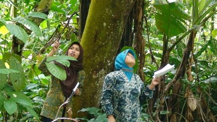 Perempuan tani