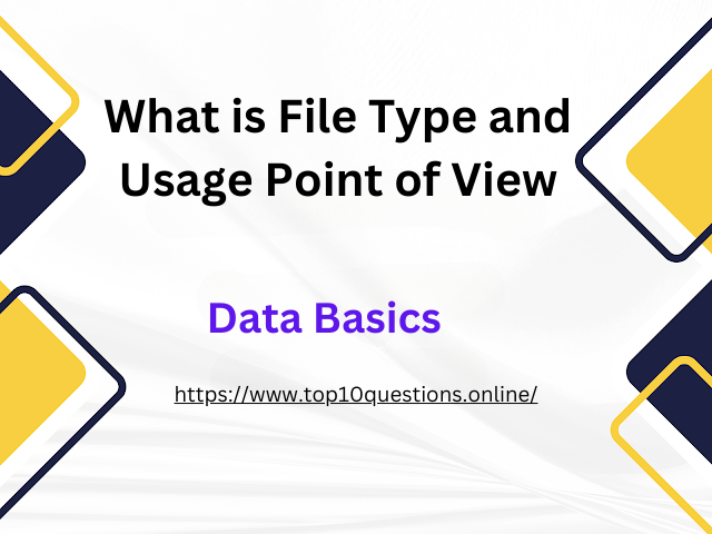 What is File Type and Usage Point of View