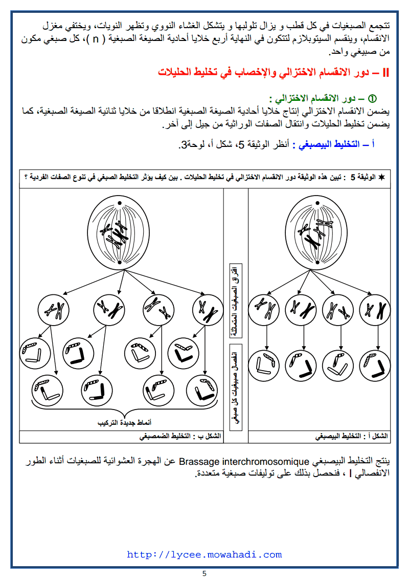  درس نقل الخبر الوراثي عبر التوالد -5