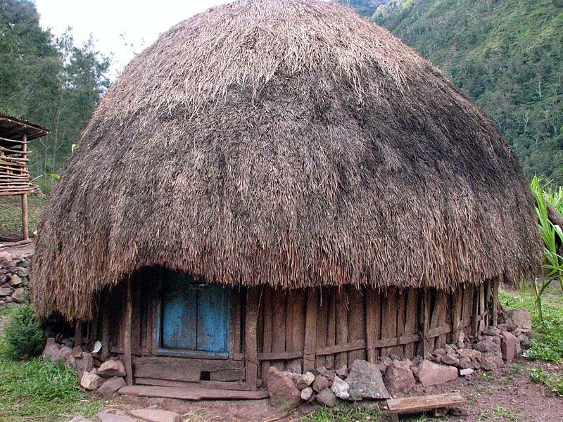 Nama Rumah Adat Daerah Papua - Nama rumah adat di papua 