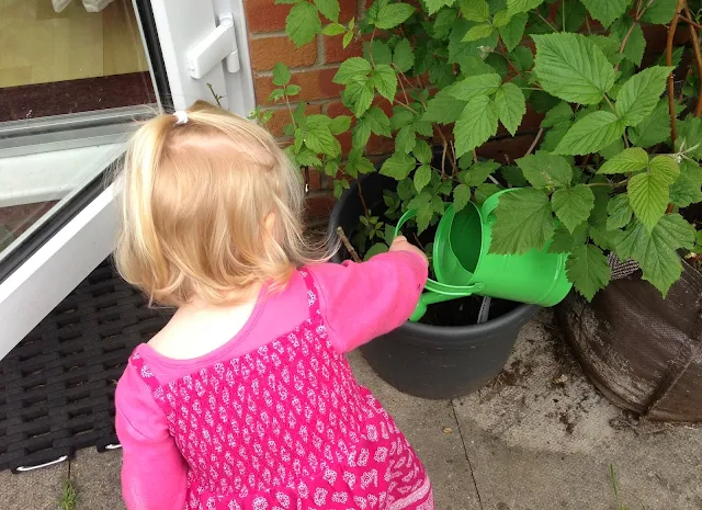 How to make the most of a small garden, get your children to water your fruit pots