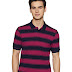 Peter England Men's Striped Regular Fit T-Shirt