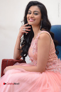 Actress Neha Hinge Stills in Pink Long Dress at Srivalli Teaser Launch  0090.JPG