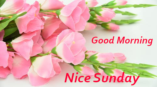 Good Morning Ji Happy Sunday