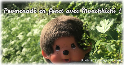 kiki Monchhichi forêt promenade cute kawaii kidult plushie life