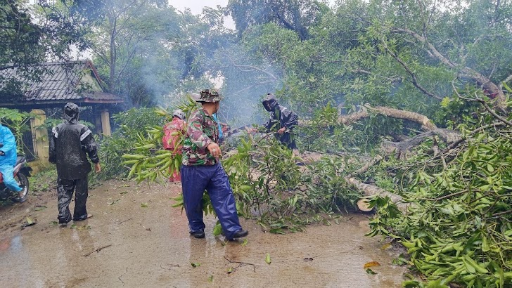 INILAH Aksi Cepat Babinsa Bantu Evakuasi Pohon Tumbang