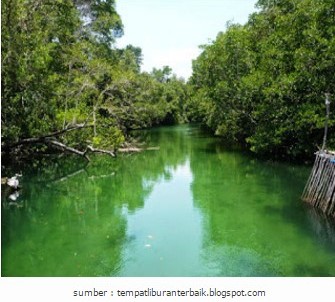 081210999347, paket wisata bintan lagoi kepri, sungai sebong mangrove