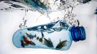 Jefa de ONU-Medioambiente advierte sobre insuficiencia del reciclaje de plásticos.