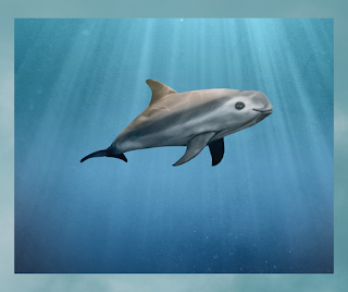 Endangered species of world