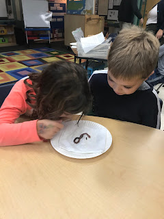 Students looking at a worm 