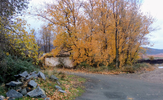 Balsa de Cogollos, otoño, cortijo