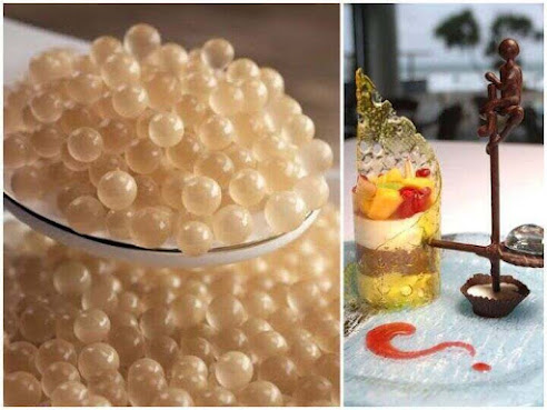The Top most expensive foods in the world and most expensive meals in the world 2024.