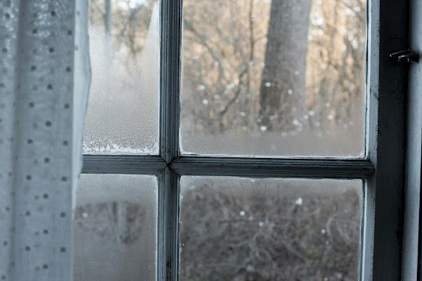 Replacing Windows at Home: 6 Essential Tips to Follow