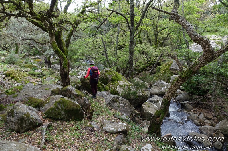 El Bujeo - Pista de la Algamasilla - Puerto de la Higuera - Río Guadalmesí