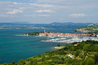 Fénykép