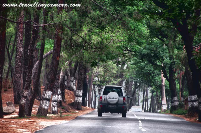 PALAMPUR to BAIJNATH :: Travelling-Camera sharing most beautiful stretch of Road Journey in Himachal Pradesh: Posted by VJ SHARMA on www.travellingcamera.com : Baijnath is located at average elevation of 1320 metres (4340 feet). It is a small township in the Dhauladhar range of western Himalayas and 18 kilometers from Palampur in the Kangra District of Himachal Pradesh(INDIA). Here is the next series of Photographs from Road Journey in Himachal Pradesh. Check out PART-1, PART-2, PART-3, PART-4 and PART-5 of this journey before proceeding further...Travelling Camera struggling in a moving car to capture the wonderful roads between Palampur and Baijnath..Many times I suggest a drive on this road to my friends who plan to visit Dharmshala or Palampur.. I love this road because of its richness in terms of natural beauty around this having tea gardens and pine trees in most of the stretch...Wonderful road... I have been to Baijnath many times and always seen this road is best possible conditions... There is Cant area on the way to Baijnath from Palampur and that may be a reason for good maintainance of this road... Its been oberserved that roads and areas around indian military camps are very well maintained... Similar is the case on the road from Dharmshala to Mcleodjang...Smooth road in Kangra Valley...This photograph has been shot after having lunch at Taragarh Palace which is built during 1930 by a very youngruler of Bahawalpur, Nawab Sadiq Mohammed Khan Bahadur. It was named as Al Hilal (literally the Land of the crescent moon) and now called Taragarh after Maharani Tara Devi, of the princely state of Jammu and Kashmir who became its subsequent owner. Roads in Palampur town with Deodar boundaries... Palampur town (1220 meters) is situated in a valley priding itself with tea gardens and snow covered hills of dhauladhar mountain ranges. The place enjoys a year round pleasant climate and the pine scented air, which are uncompararble properties of Palampur. Palampur is really very rich in terms of natural resources: Best Climate during most of the part of an year, very good power and water supply, very good living standards as compared to other main towns in Himachal Pradehs, Most of the modern facilities are avaialable, Good connectivity from oethr states and main cities n so many other things I can't explain here... I dream of a sweet home here...Beautiful hills near Palampur... Drive on amazing roads in this region have various views of Dhauladhar mountain range...