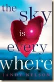 sky is everywhere