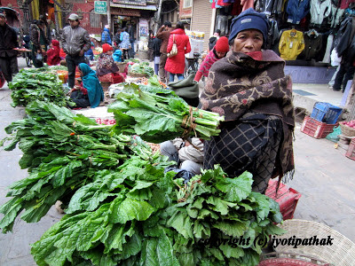  Learn more about Green Leafy Vegetables Nepal