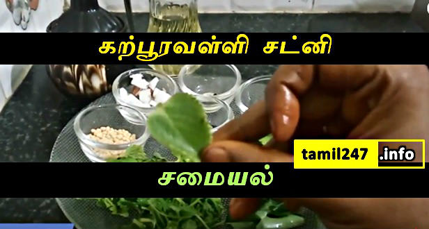 (சமையல்) கற்பூரவள்ளி சட்னி - Karpooravalli chutney recipe in Tamil 