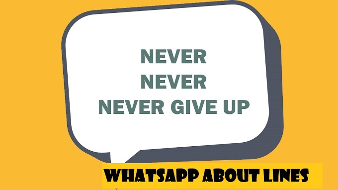 Best whatsapp about line | 50 + Whatsapp about lines that you must use.