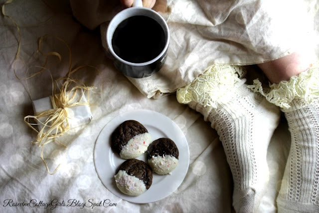 Chocolate Peppermint Cookies Recipe