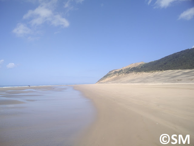 Photo de plage Pouto Point Northland Nouvelle-Zélande