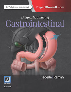 Diagnostic Imaging: Gastrointestinal E-Book 3rd Edition