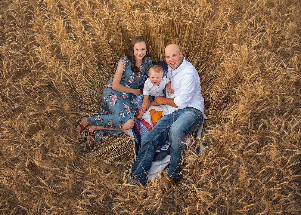 Family photos in a Wheat field Best Photographer in dekalb IL