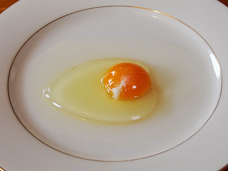Khasiat Putih Telur  Tips Cara Manfaat