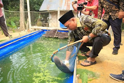 Plt Bupati Labuhanbatu Tinjau Pertanian, Peternakan dan Perikanan Kelompok Masyarakat Swakarsa Kecamatan Pangkatan