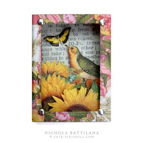Pretty Bird Matchboxes for Graphic 45 - Nichola Battilana