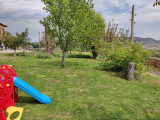 Looking along the length of the lawn