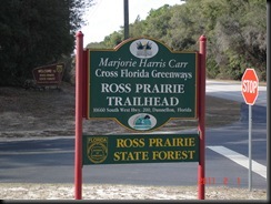 Florida--Jan 2011 004