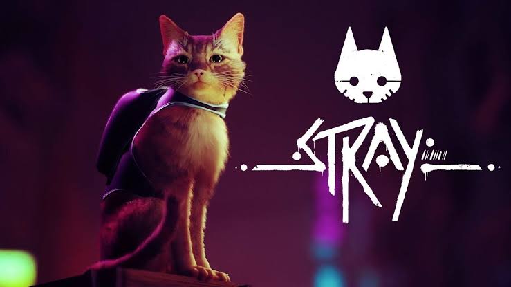 Análise: Stray (Multi) é um produto perdido no limiar entre o game